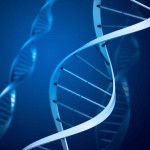 Epigenetik – Kansst Du Deine Gene beeinflussen?