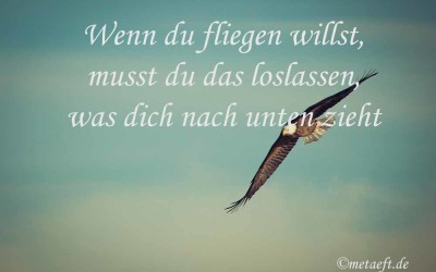 Wenn du fliegen willst …
