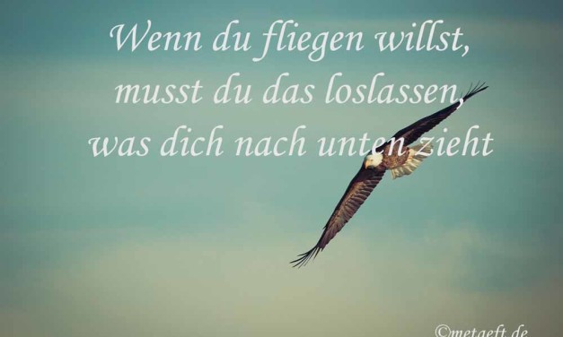 Wenn du fliegen willst …