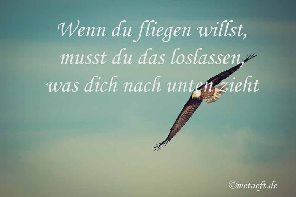 Wenn du fliegen willst, musst du das loslassen