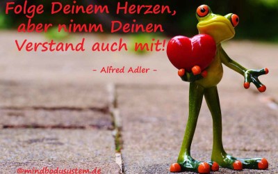 Folge Deinem Herzen …